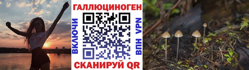 Галлюциногенные грибы MAGIC MUSHROOMS Щёкино